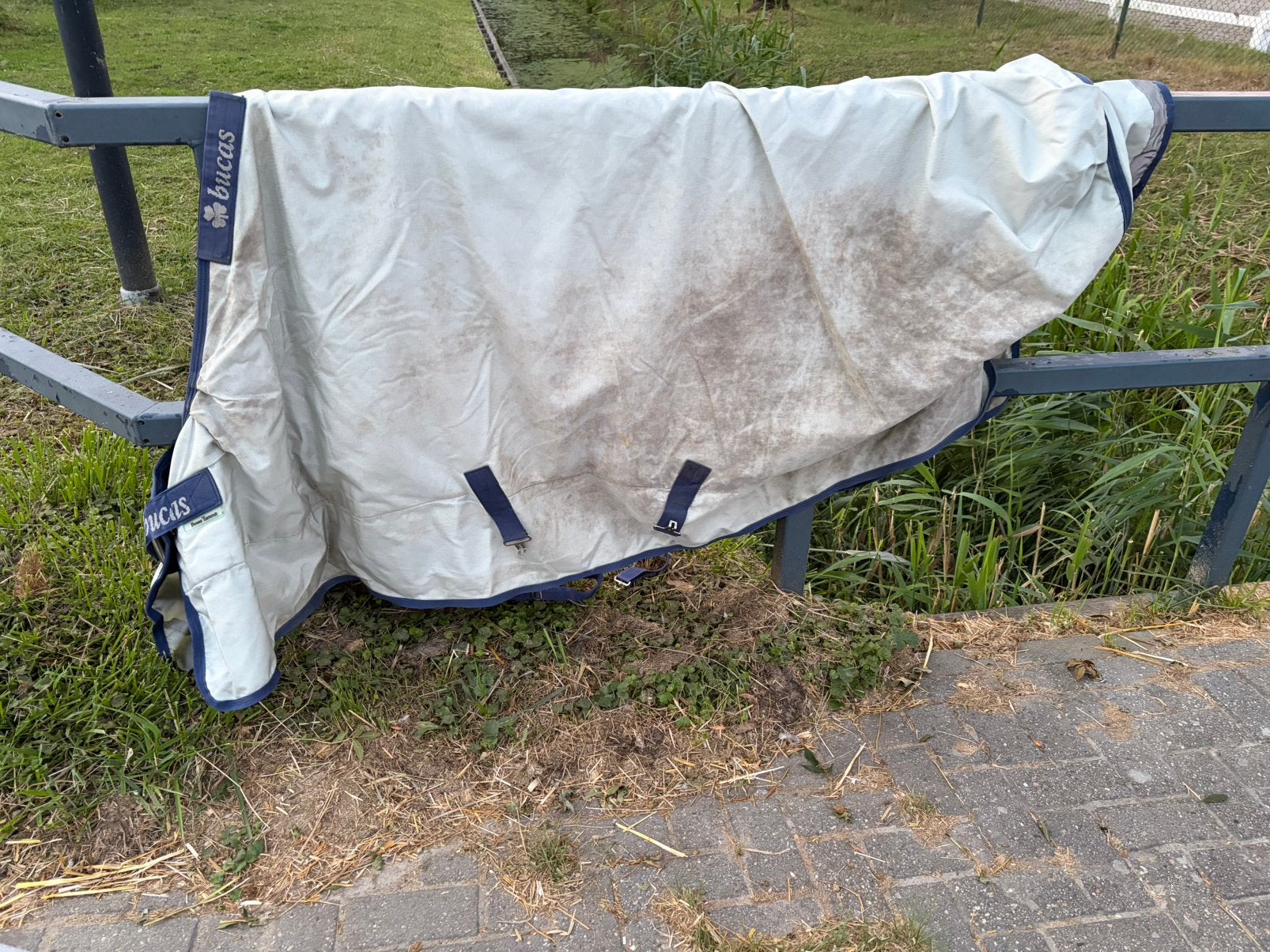 Bucas Power turnout, Dieren en Toebehoren, Verzenden, Zo goed als nieuw