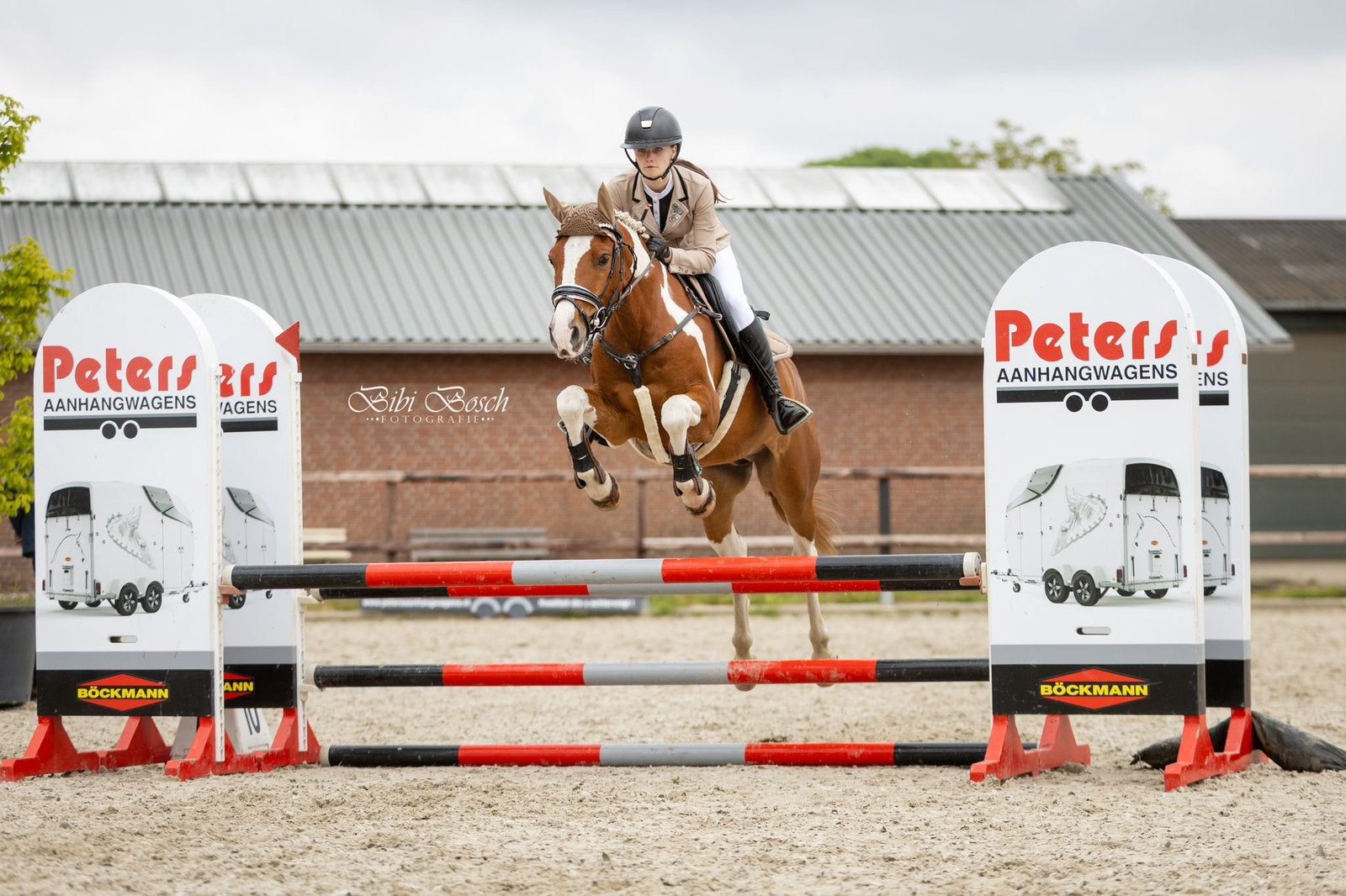 Bonte D pony  ruin 1,47, Dieren en Toebehoren, Pony's, Gechipt, Ruin, Springpony, L