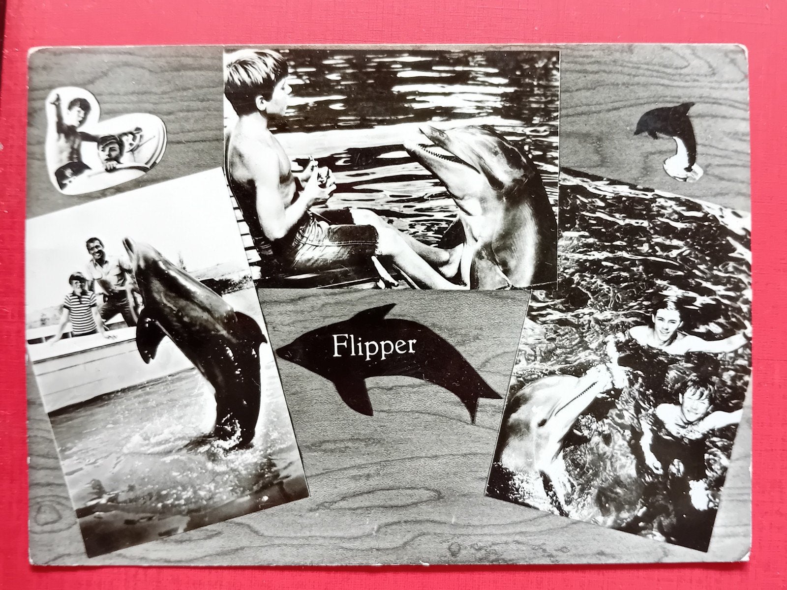 Ansichtkaart Flipper, Ophalen of Verzenden, Foto of Kaart