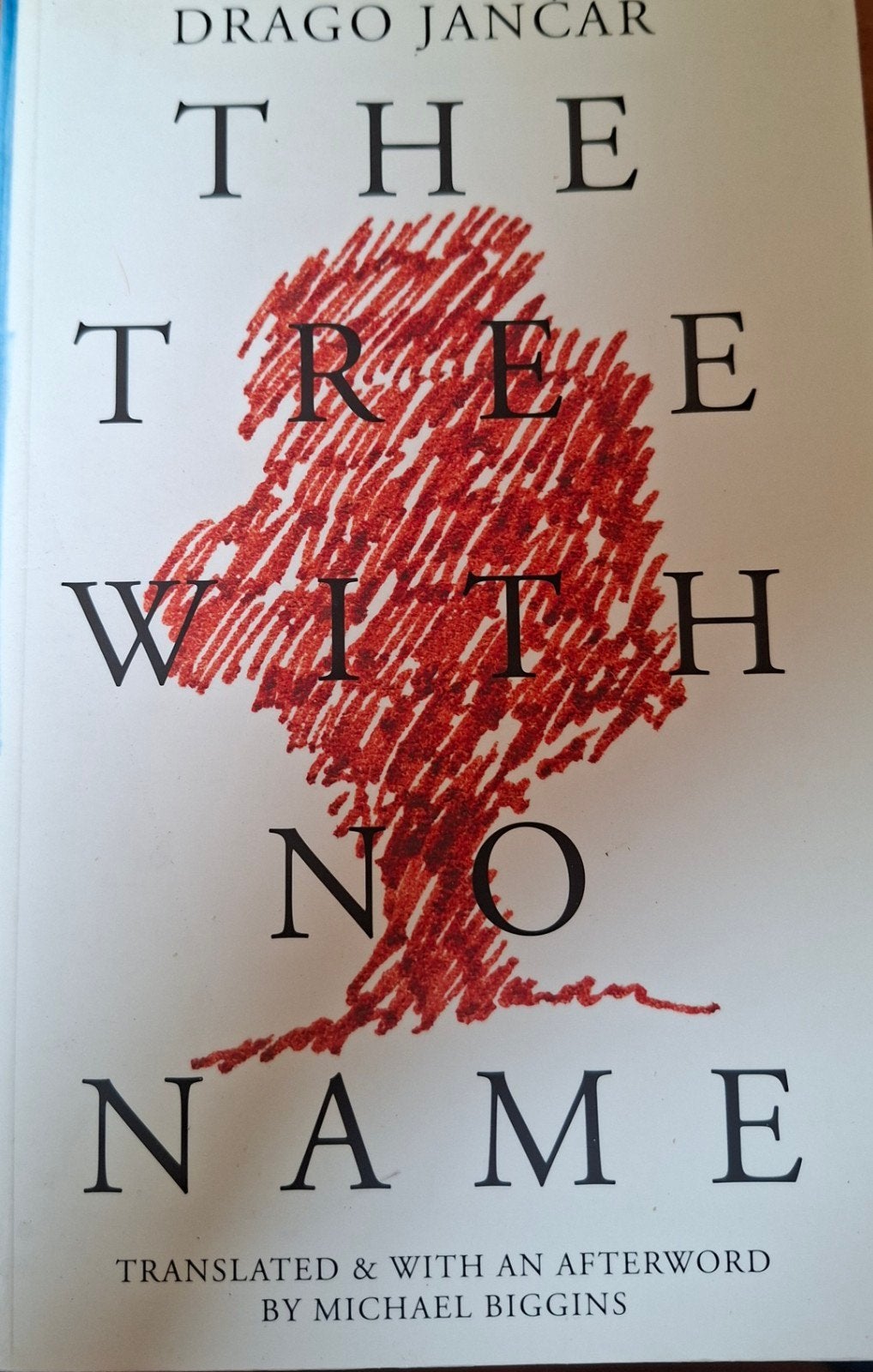 The Tree With No Name - Drago Jančar (Engels), Boeken, Literatuur, Zo goed als nieuw, Europa overig, Ophalen of Verzenden