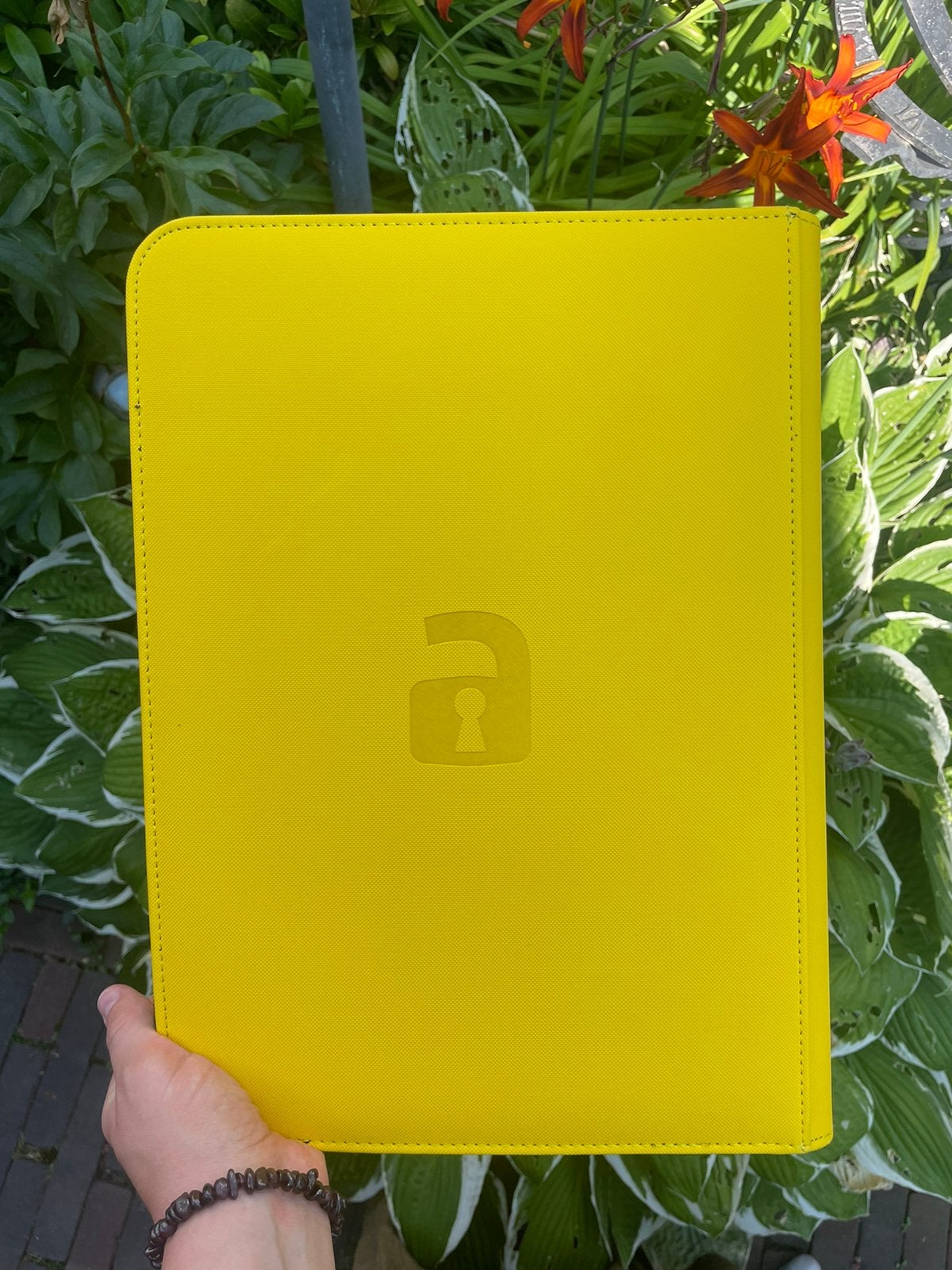 Vault X Psyduck binder, Ophalen of Verzenden, Zo goed als nieuw