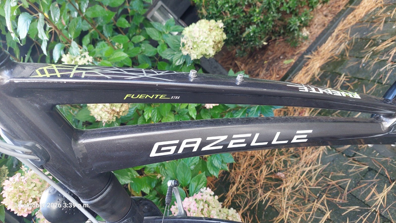 Gazelle Fuente Xtra Damesfiets, Ophalen, Gebruikt, Gazelle, Versnellingen