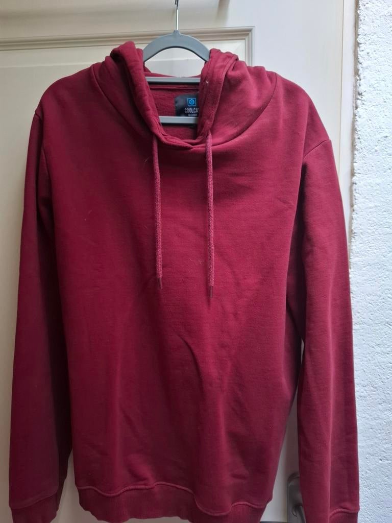 Sweater XL, Ophalen of Verzenden, Zo goed als nieuw, Maat 56/58 (XL)