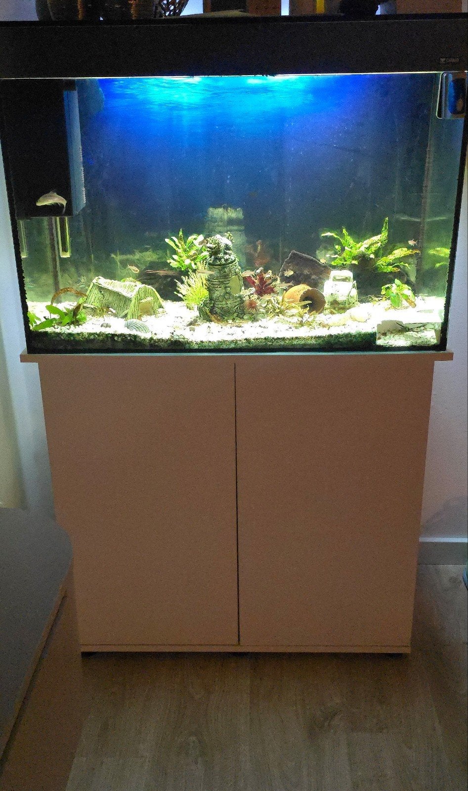 Aquarium met toebehoren, Ophalen, Gebruikt, Inclusief toebehoren, Overige merken