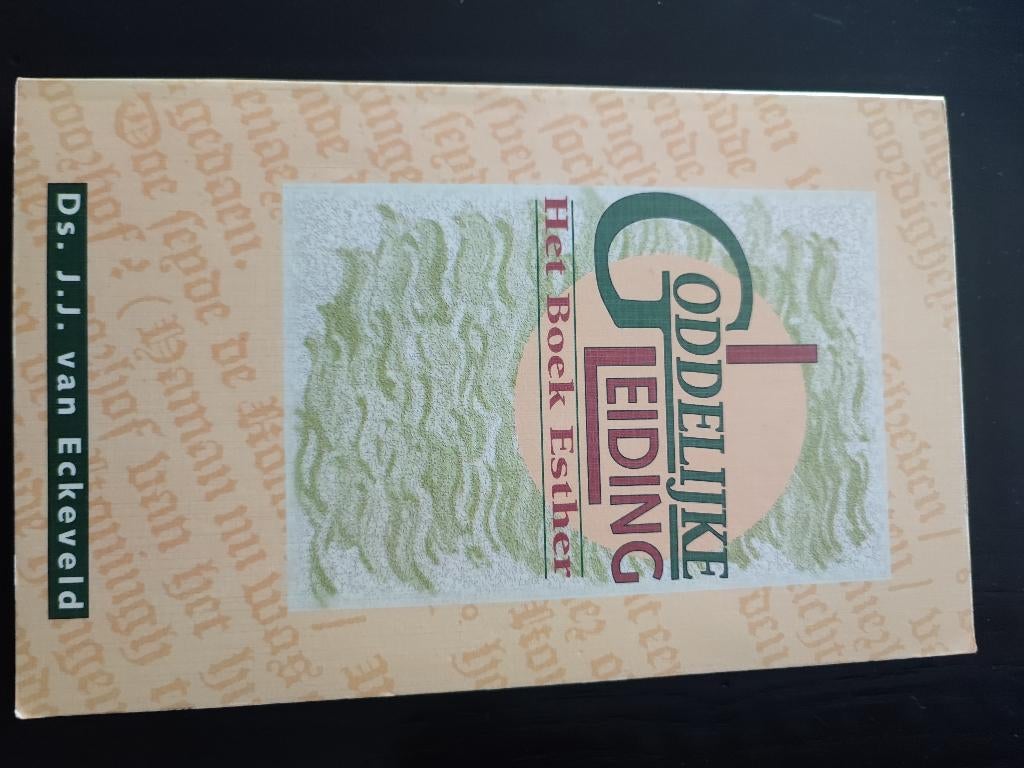 Goddelijke Leiding, het boek Esther, Ophalen of Verzenden, Zo goed als nieuw, Ds J.J. van Eckeveld