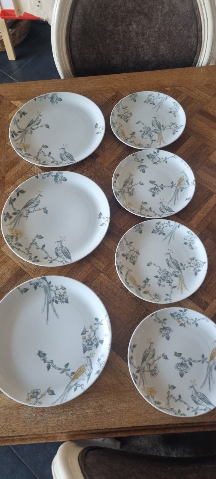 Villeroy & Boch Vivo porseleinen borden met vogelprint, Nieuw, Ophalen of Verzenden, Bord(en), Overige stijlen