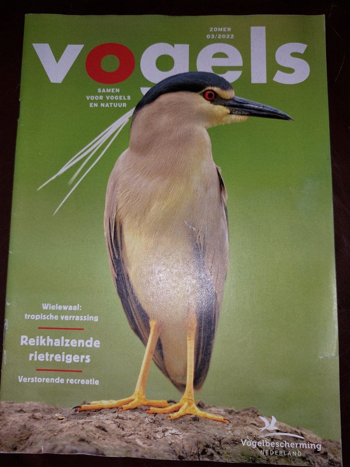 Vogels magazine Zomer 2022 - Natuur en vogels, Ophalen of Verzenden, Zo goed als nieuw, Wetenschap en Natuur