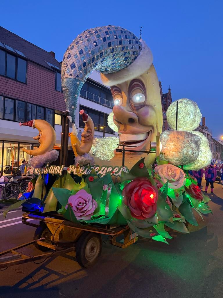 Carnavalswagens en kostuums thema Rozengeur & Maneschijn, Ophalen, Gebruikt, Feestartikel, Carnaval