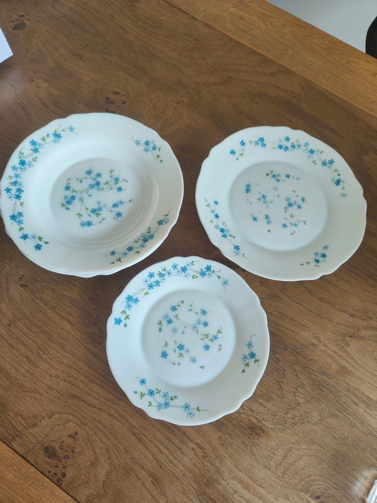 Vintage Arcopal France 'Veronica' borden Vergeet-me-nietjes, Gebruikt, Ophalen of Verzenden, Glas, Bord(en)
