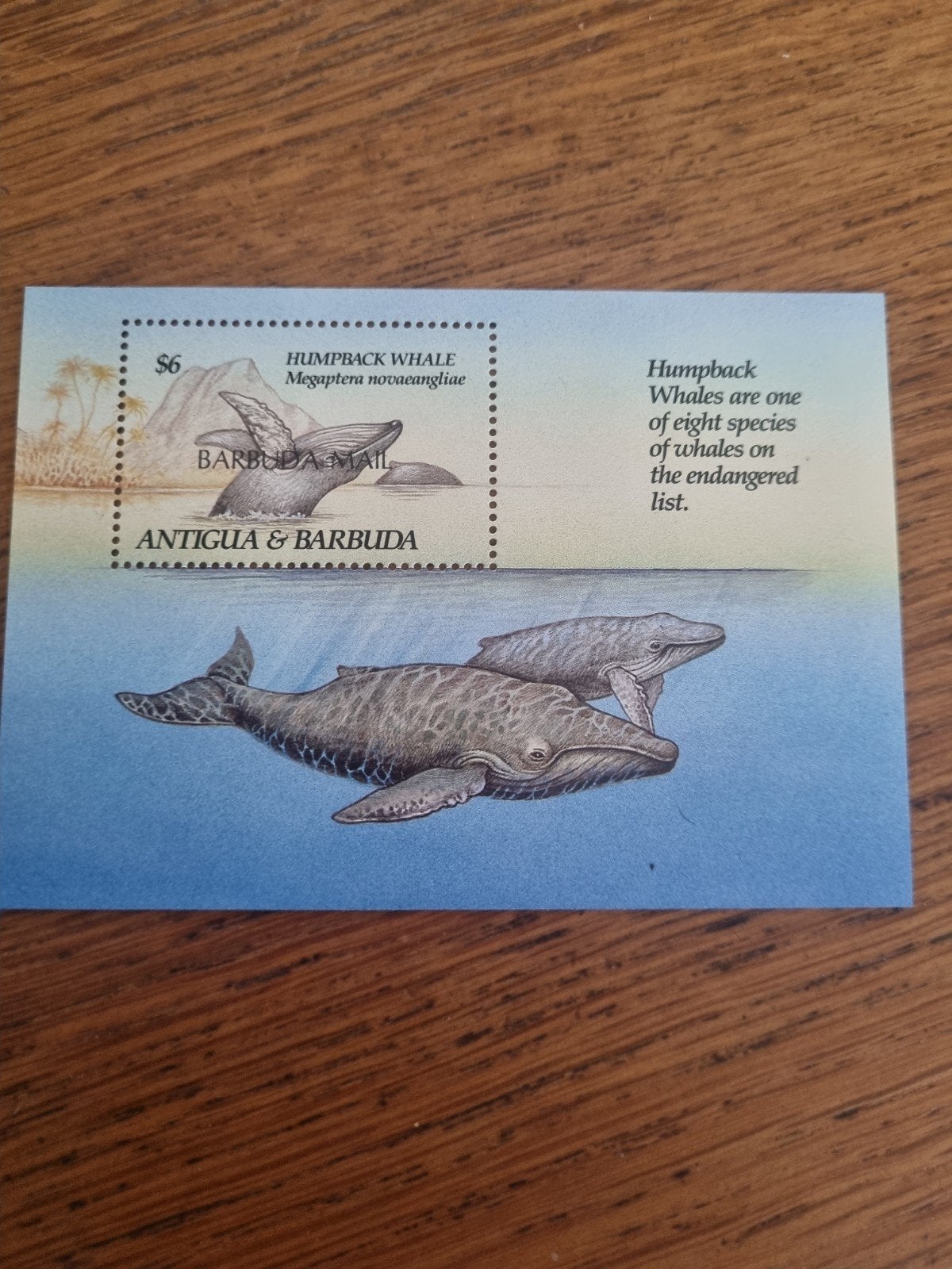 Postzegel Antigua  Barbuda - Bultrug Walvis (Humpback Whale), Verzamelen, Ophalen of Verzenden, 1980 tot heden, Ongelopen, Natuur