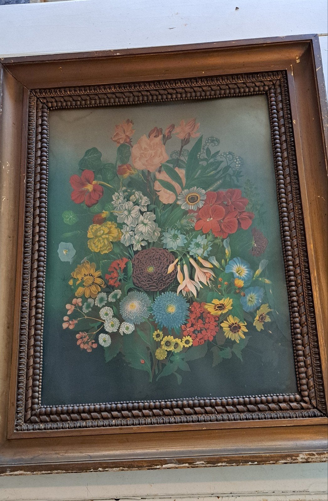 Vintage Ingelijste Botanische Prent in lijst, Ophalen