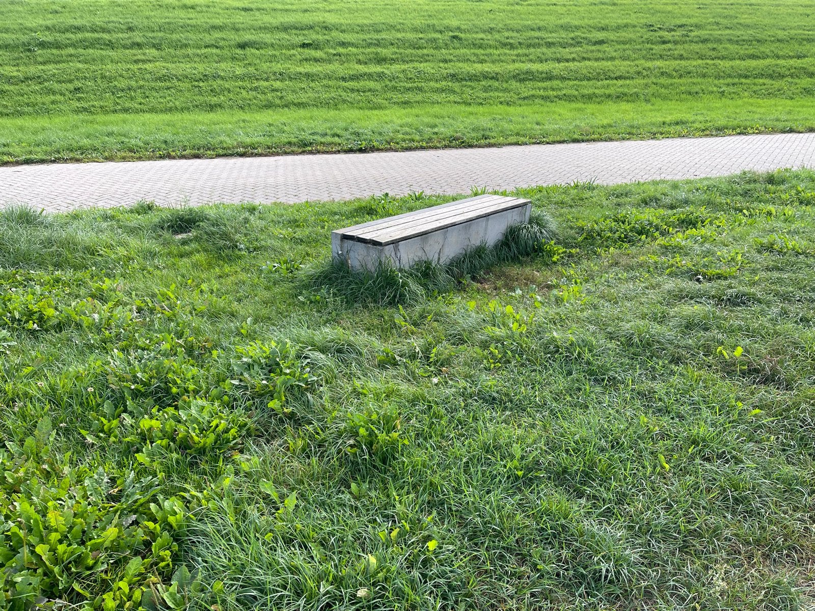 10 meter Betonnen tuinbank met houten zitting, Tuin en Terras, Ophalen, Gebruikt, Hout