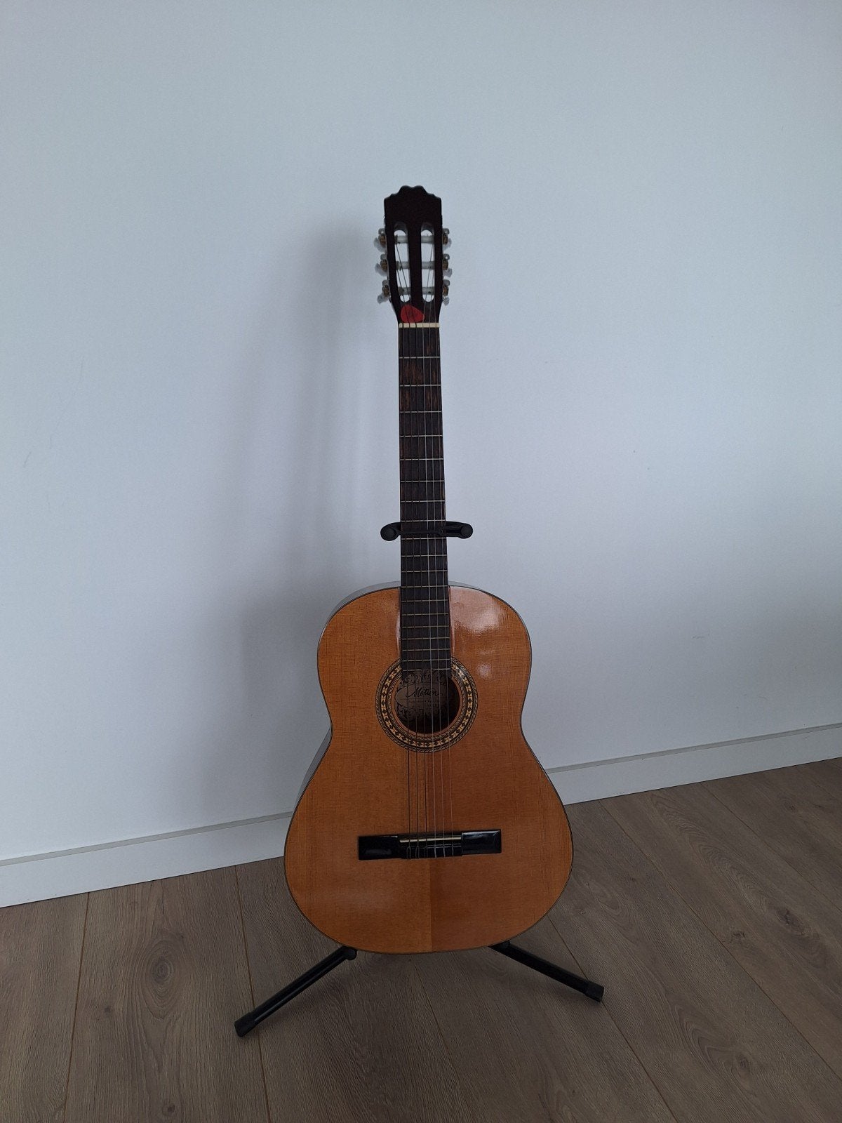 Motion gitaar met Clifton standaard en gitaartas, Muziek en Instrumenten, Ophalen, Gebruikt, Klassieke of Spaanse gitaar