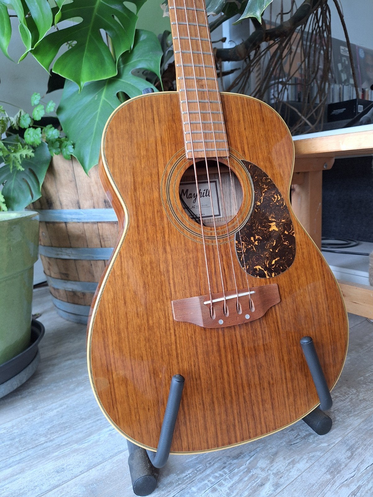 Semi akoestische basgitaar (made in Korea), Ophalen, Gebruikt, Semi-akoestisch