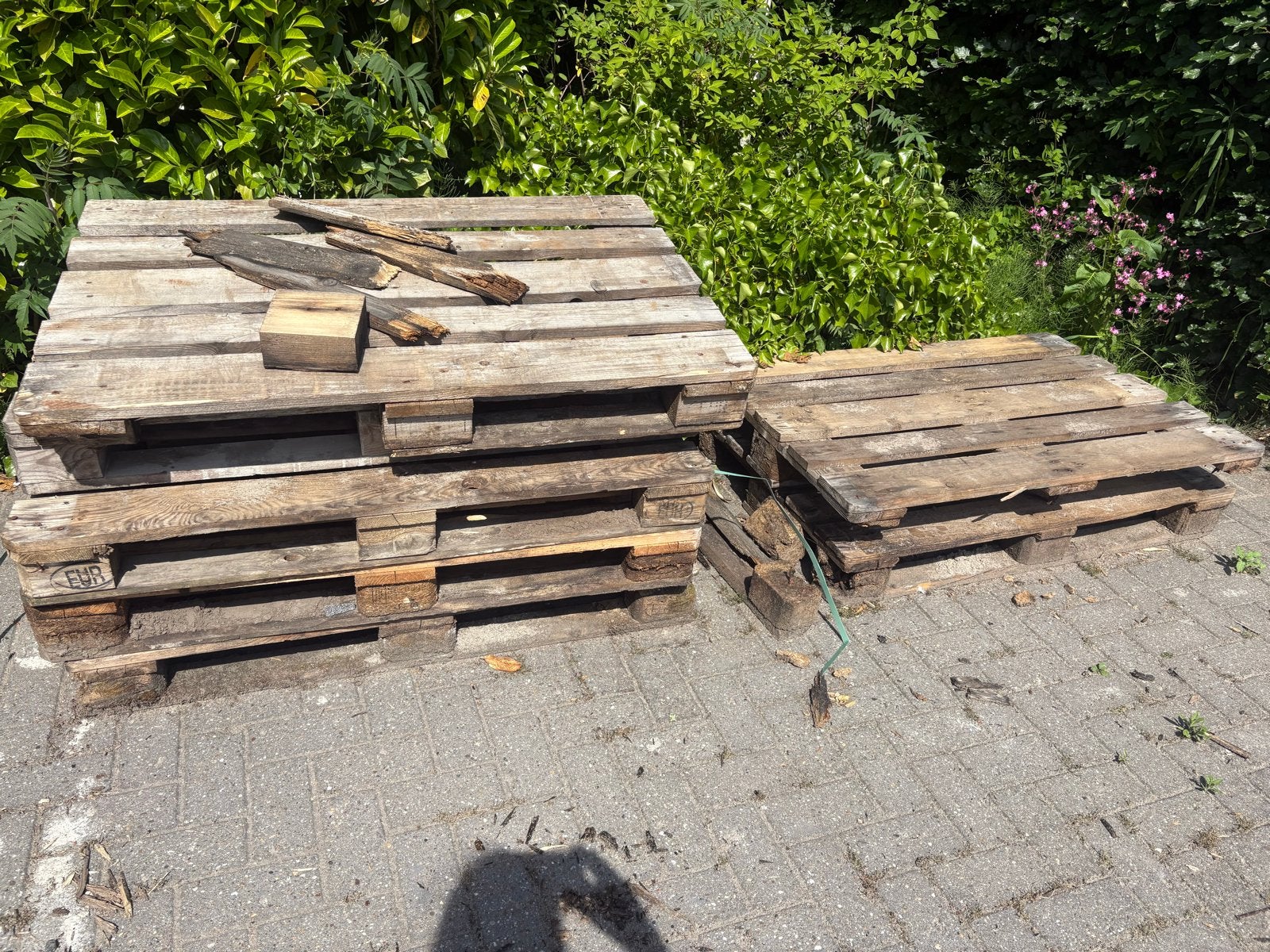 8 pallets hout gratis af te halen, Ophalen, Gebruikt, Minder dan 180 cm, Overige typen