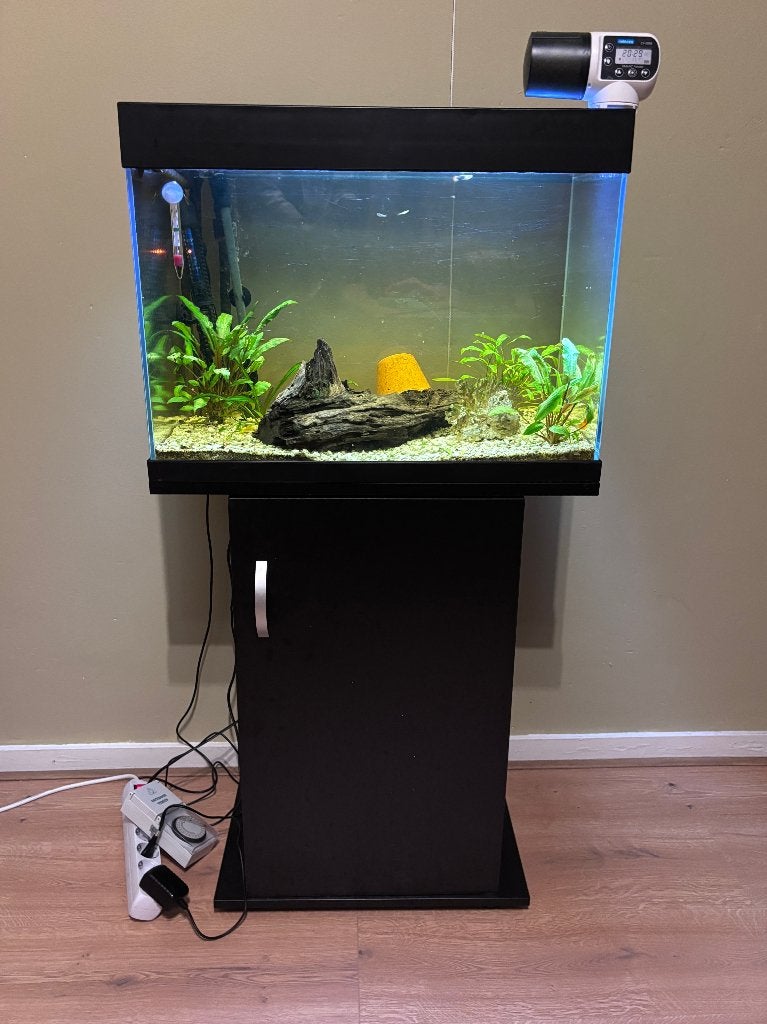 aquarium compleet, Ophalen, Gebruikt, Gevuld zoetwateraquarium, Superfish