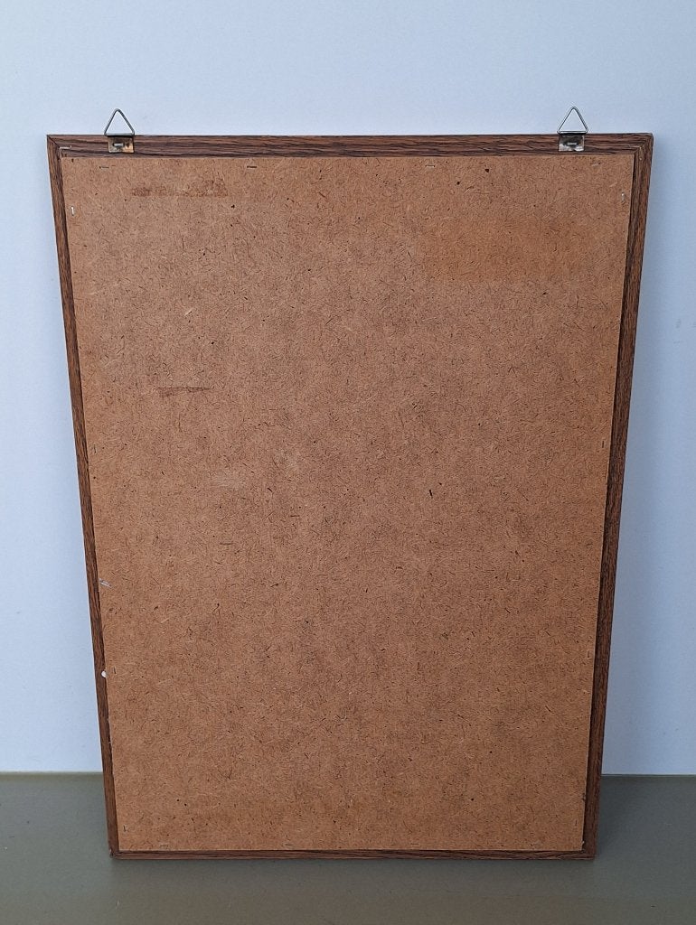 vintage antiek tableau kanarie vogeltje in vogelkooi 32x45cm, Ophalen of Verzenden