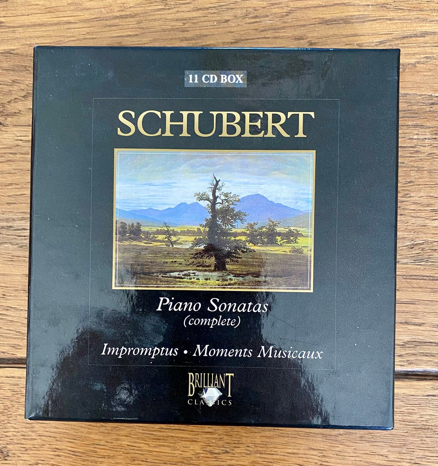Pianowerken Frans Schubert 11 cd’s box, Cd's en Dvd's, Cd's | Klassiek, Ophalen of Verzenden, Romantiek, Zo goed als nieuw