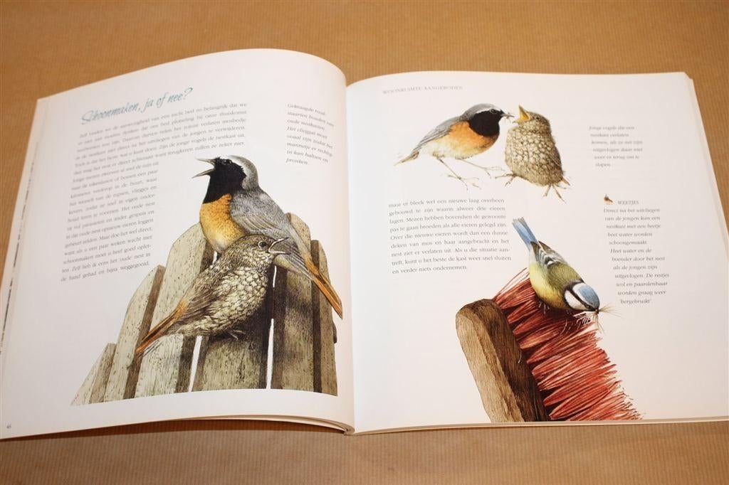 Vogelparadijs — Tuin & Balkon [Nico de Haan & Bastin], Ophalen of Verzenden, Gelezen, Vogels