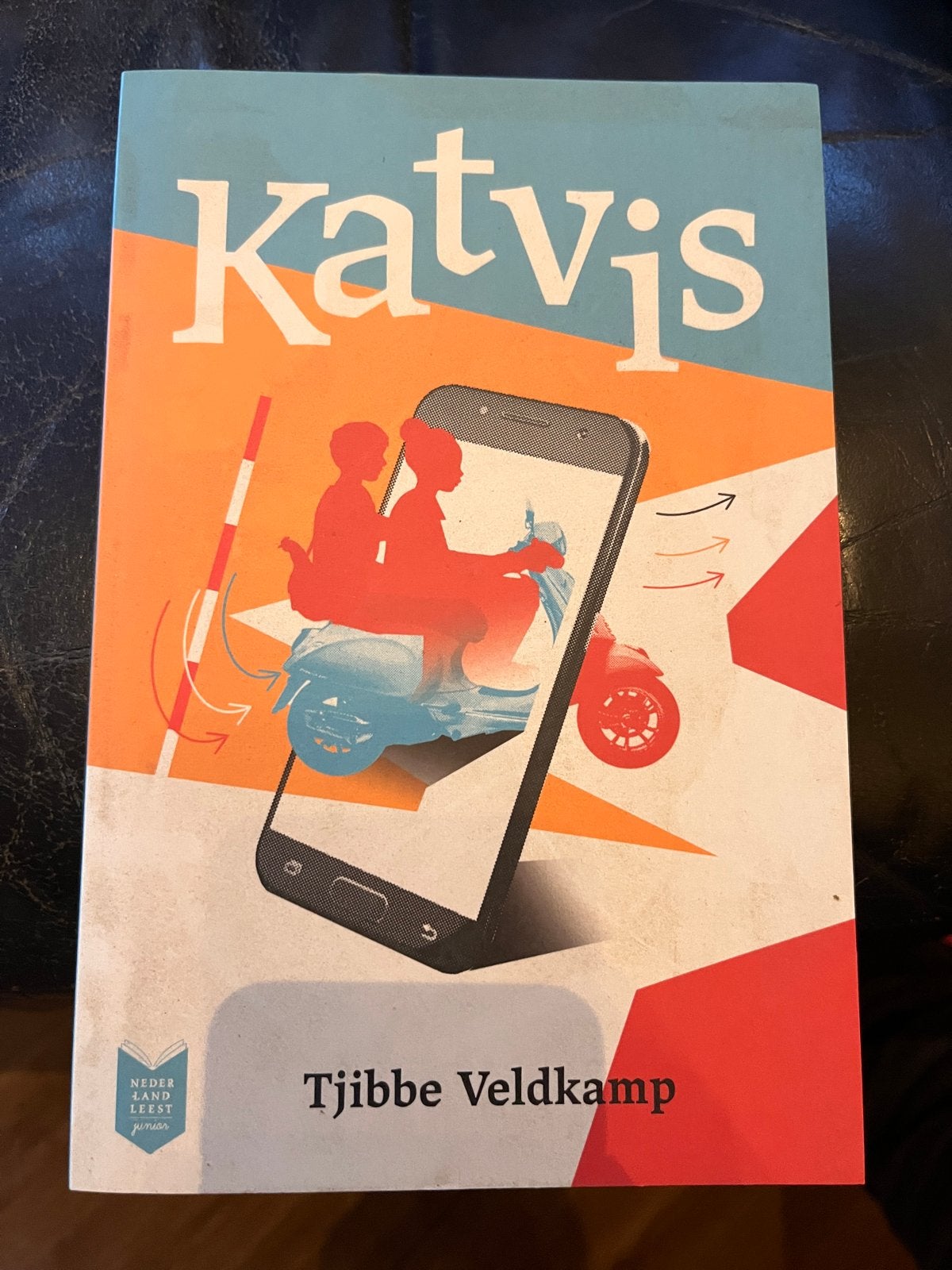 Katvis - Tjibbe Veldkamp (Nederlands Jeugdboek), Boeken, Ophalen of Verzenden, Zo goed als nieuw, Fictie