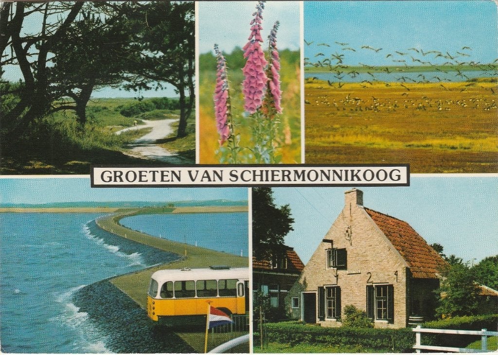 SCHIERMONNIKOOG Fietspad Bus Huis Groeten, Verzenden, 1980 tot heden, Gelopen, Waddeneilanden