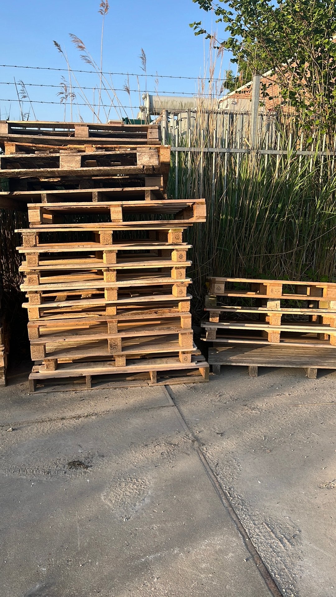 Pallets, Ophalen, Zo goed als nieuw, Pallet, Minder dan 200 cm