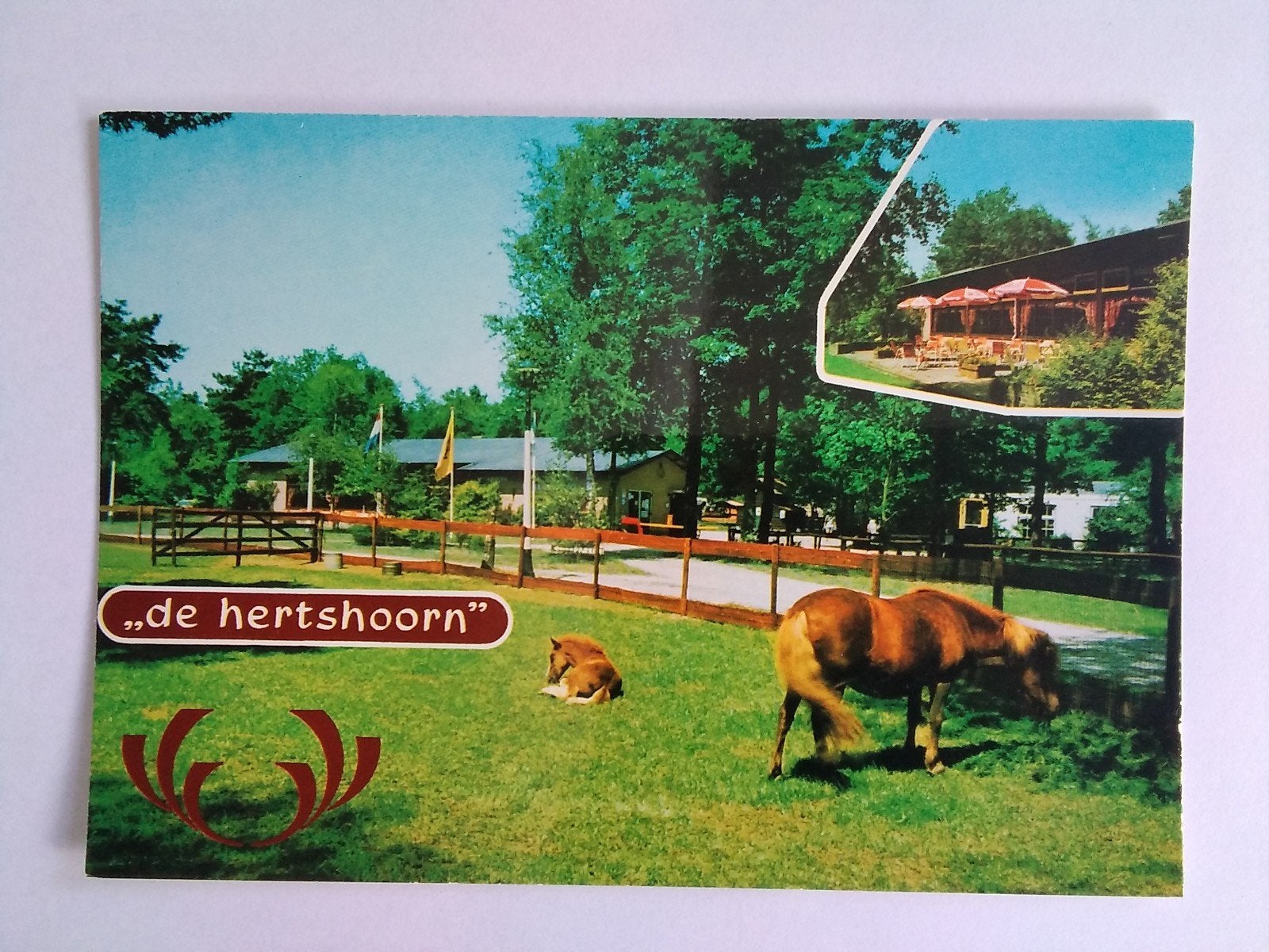 Ansichtkaart Garderen De Hertshoorn, Verzenden, 1960 tot 1980, Noord-Holland