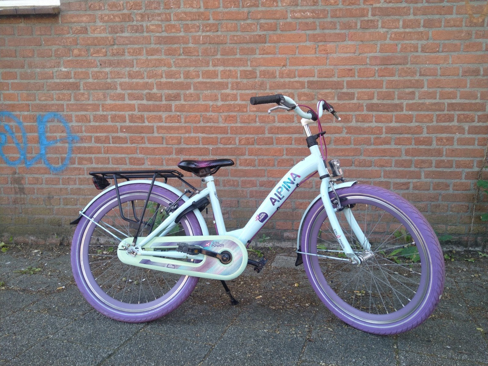 Nette Alpina Meisjes fiets 22 inch recent onderhoudsbeurt, Ophalen of Verzenden, Gebruikt, 22 inch
