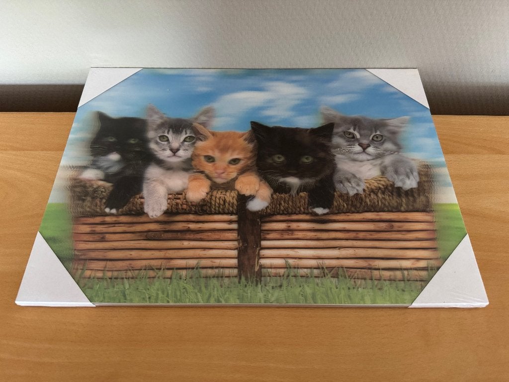 Schilderij kittens (3D MDF), Ophalen of Verzenden, 3D-effect, Dieren