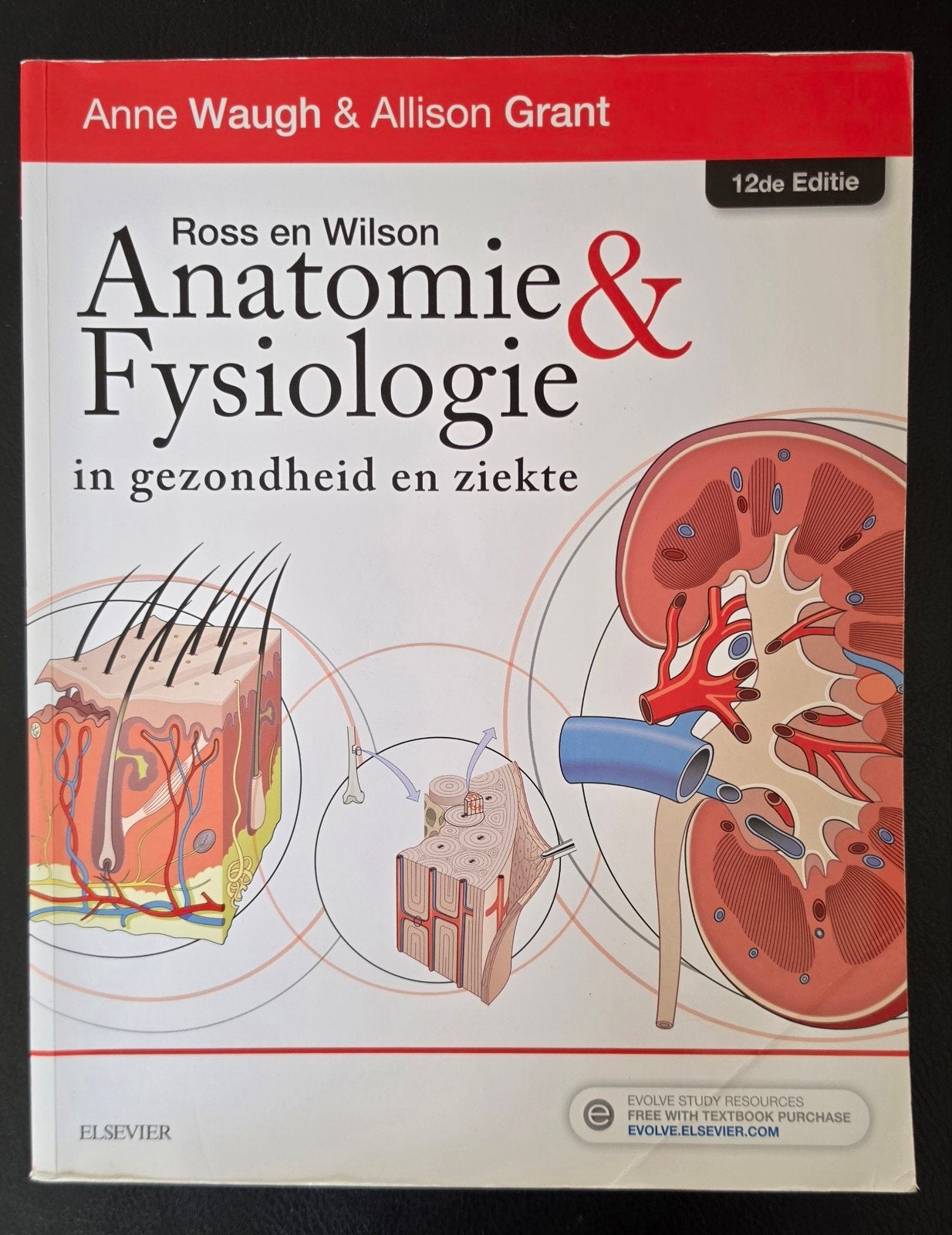 Ross en Wilson Anatomie & Fysiologie 12e Editie, Boeken, Gelezen, Anne Waugh & Allison Grant, Beta, HBO