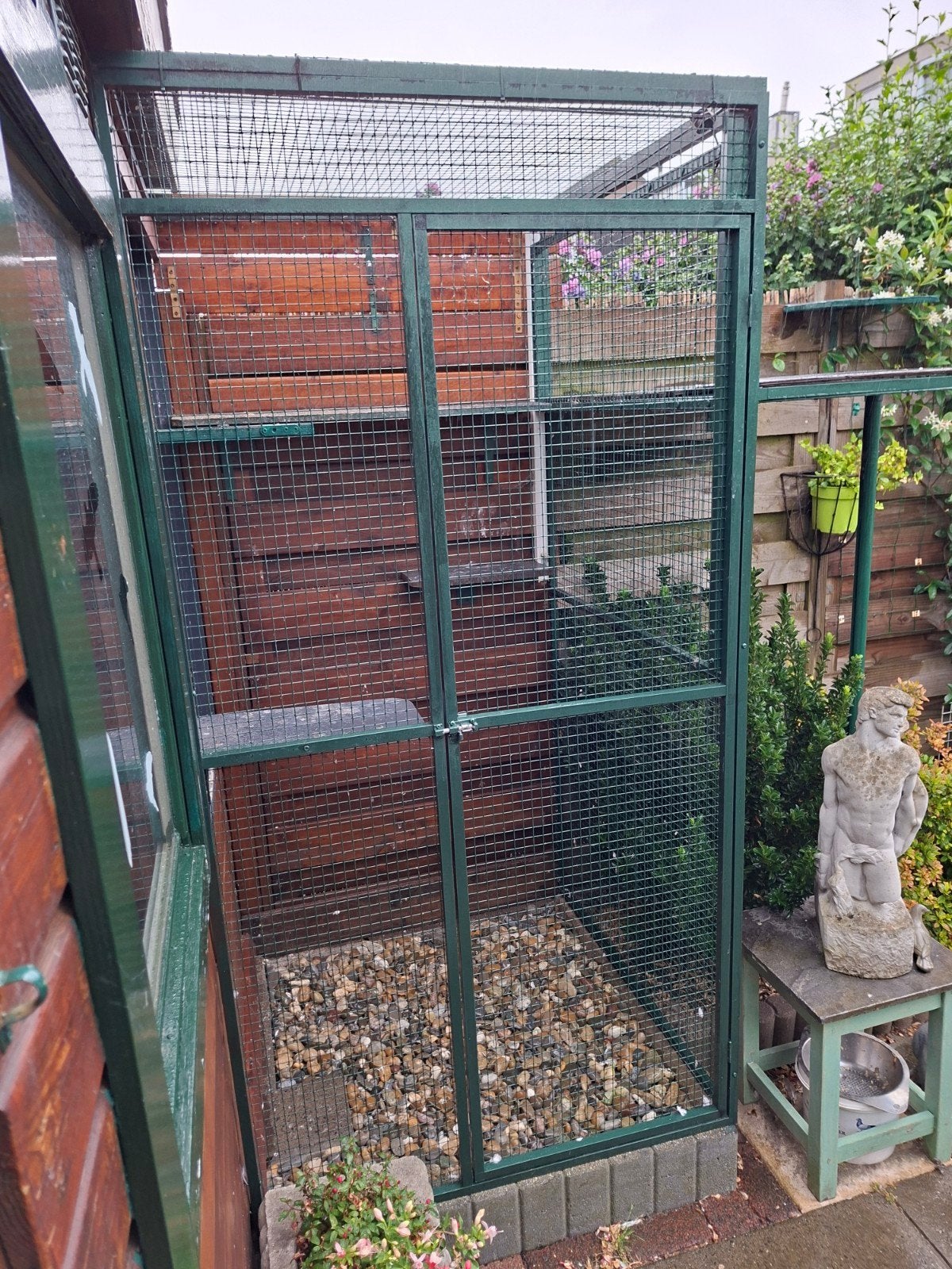 Duivenren aluminium, Dieren en Toebehoren, Vogels | Duiven, Mannelijk, Postduif