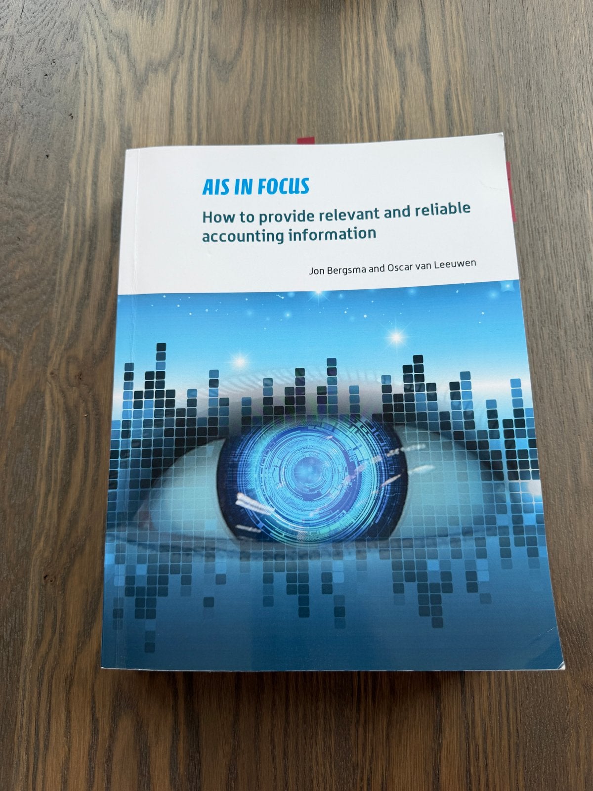 AIS in Focus: Accounting Information System, Boeken, Ophalen of Verzenden, Gamma, Zo goed als nieuw, HBO