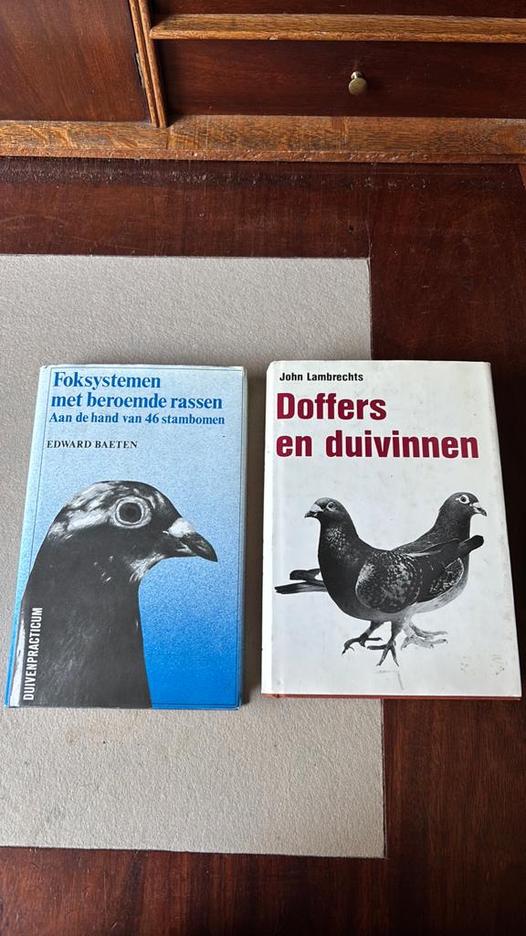 Doffers en duivinnen & Foksystemen met beroemde rassen, Ophalen of Verzenden, Zo goed als nieuw