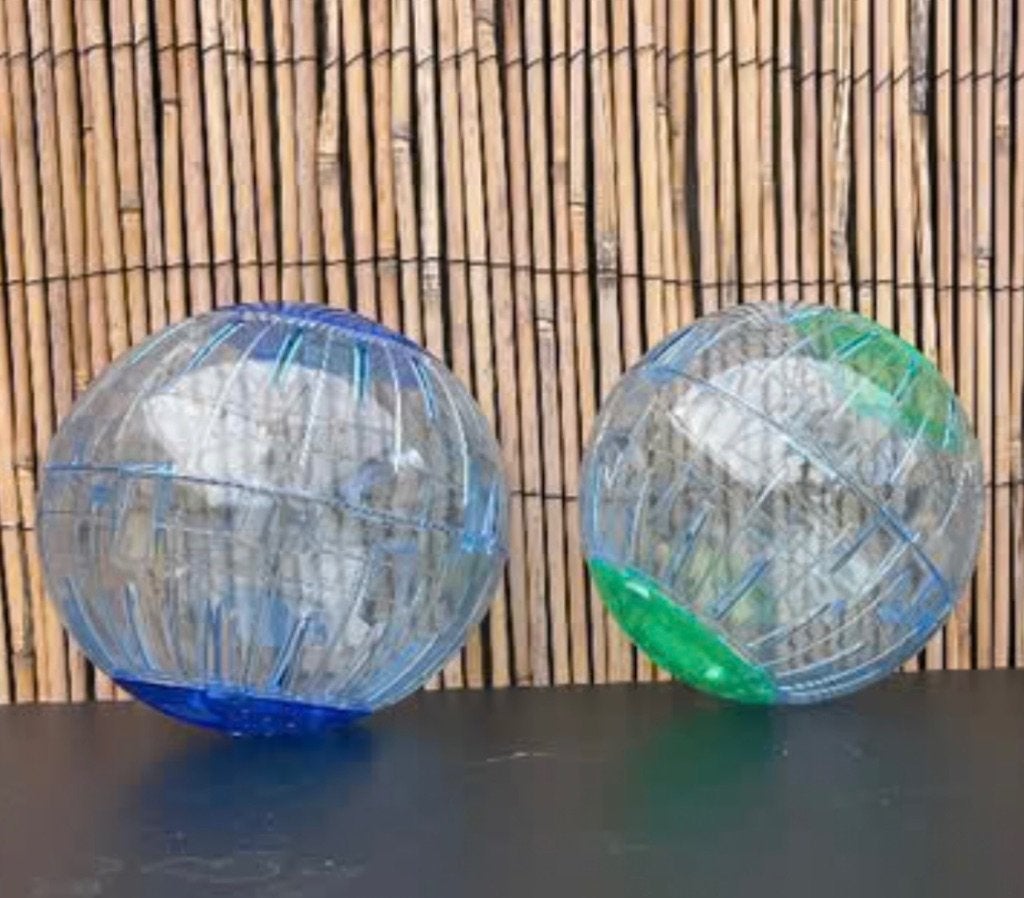 loopbal voor HAMSTER. Tip voor DIERENDAG, Dieren en Toebehoren, Ophalen of Verzenden, Zo goed als nieuw, Overige typen