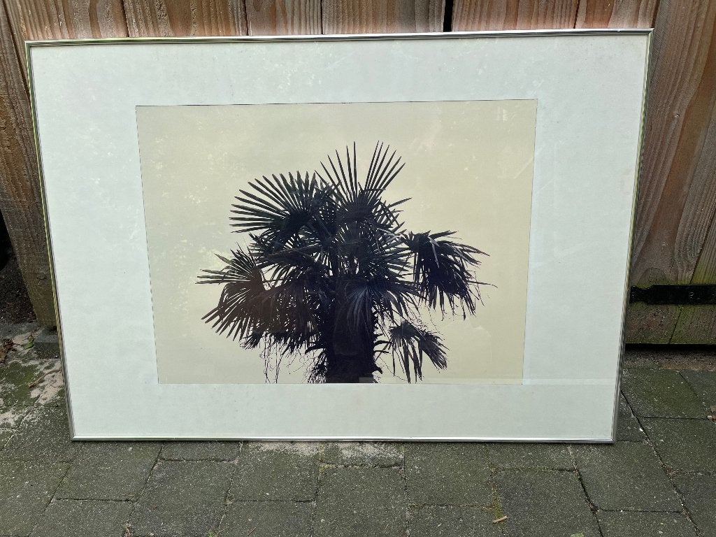 Grote fotolijst 100 x 75 cm, Audio, Tv en Foto, Fotografie | Fotolijsten, Ophalen, Zilver, Hangend, Wissellijst