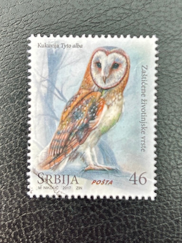 Kerkuil - Servië - 2017, Verzenden, Gestempeld, Dier of Natuur