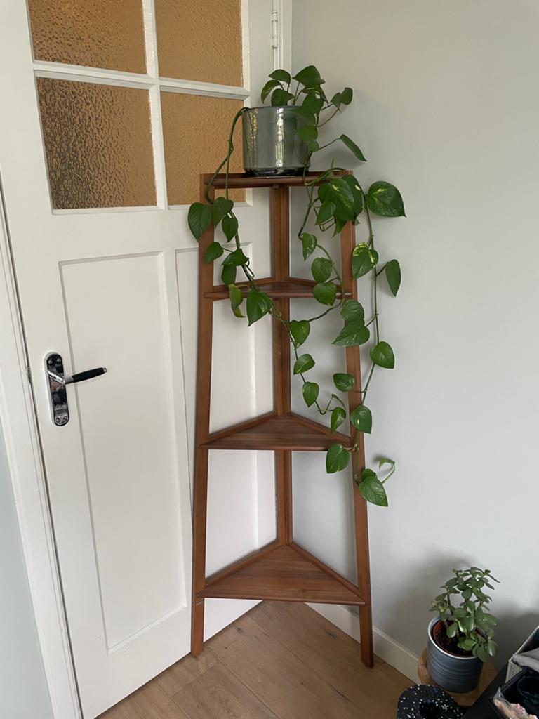echt houten stelling kast/boeken kast, Huis en Inrichting, Kasten | Stellingkasten, Ophalen, Zo goed als nieuw