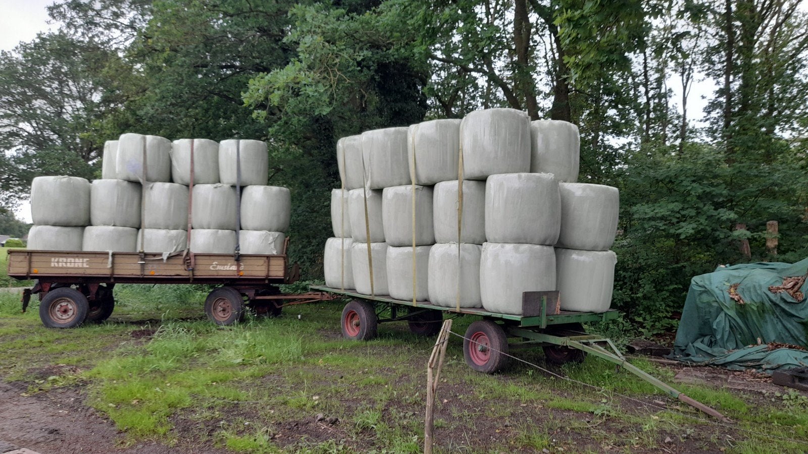 Midibalen droog hooi, Dieren en Toebehoren, Ophalen of Verzenden, Vee