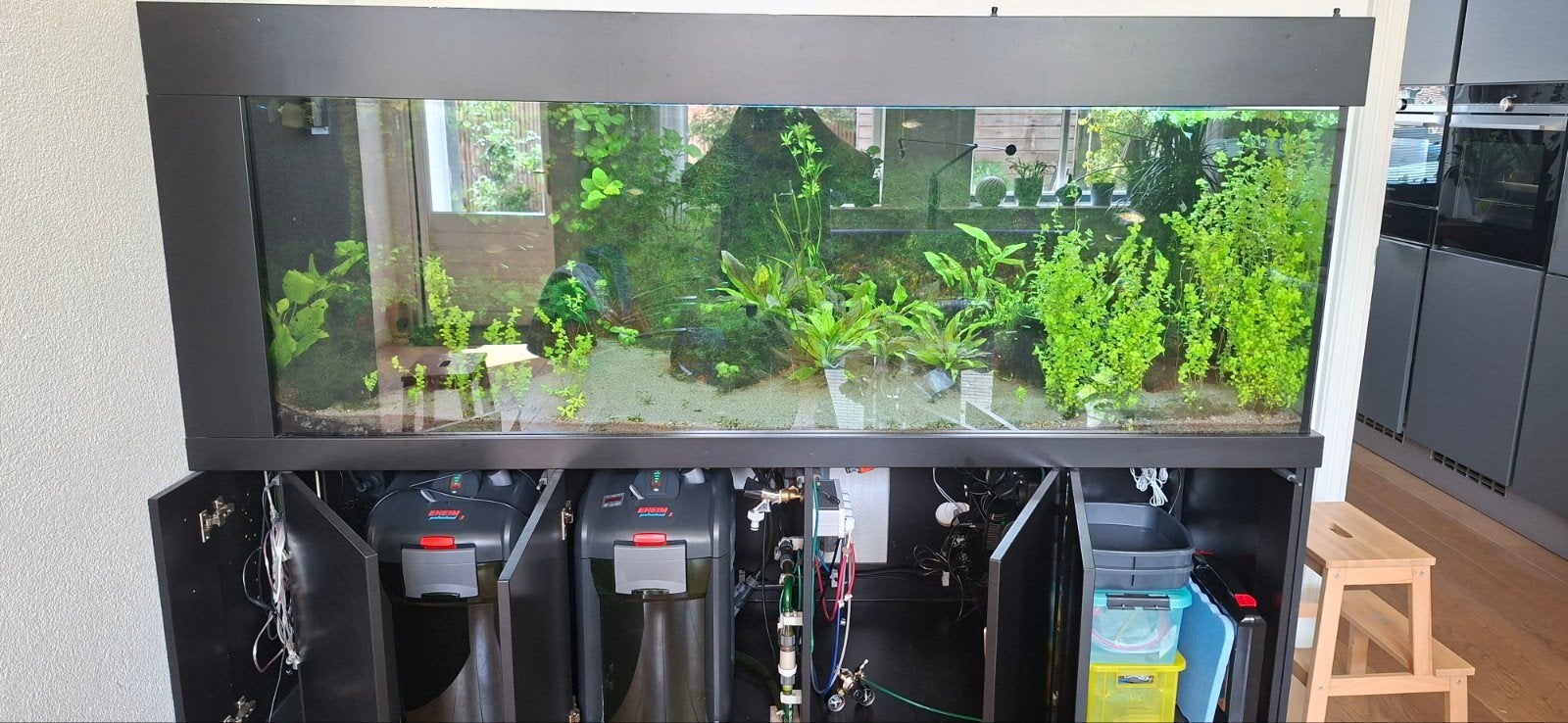 aquarium 2 meter, Tuin en Terras, Ophalen, 20 m² of meer