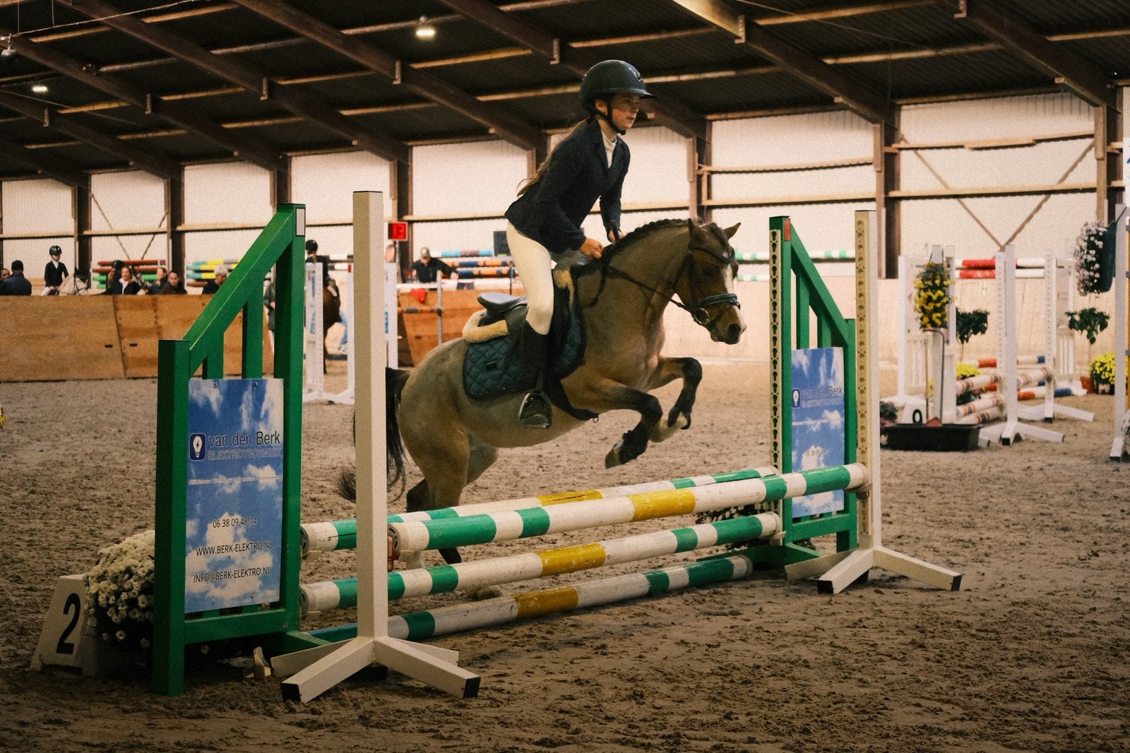 Bomproof bixie- en sportpony, Dieren en Toebehoren, Merrie, Springpony, A pony (tot 1.17m), 3 tot 6 jaar