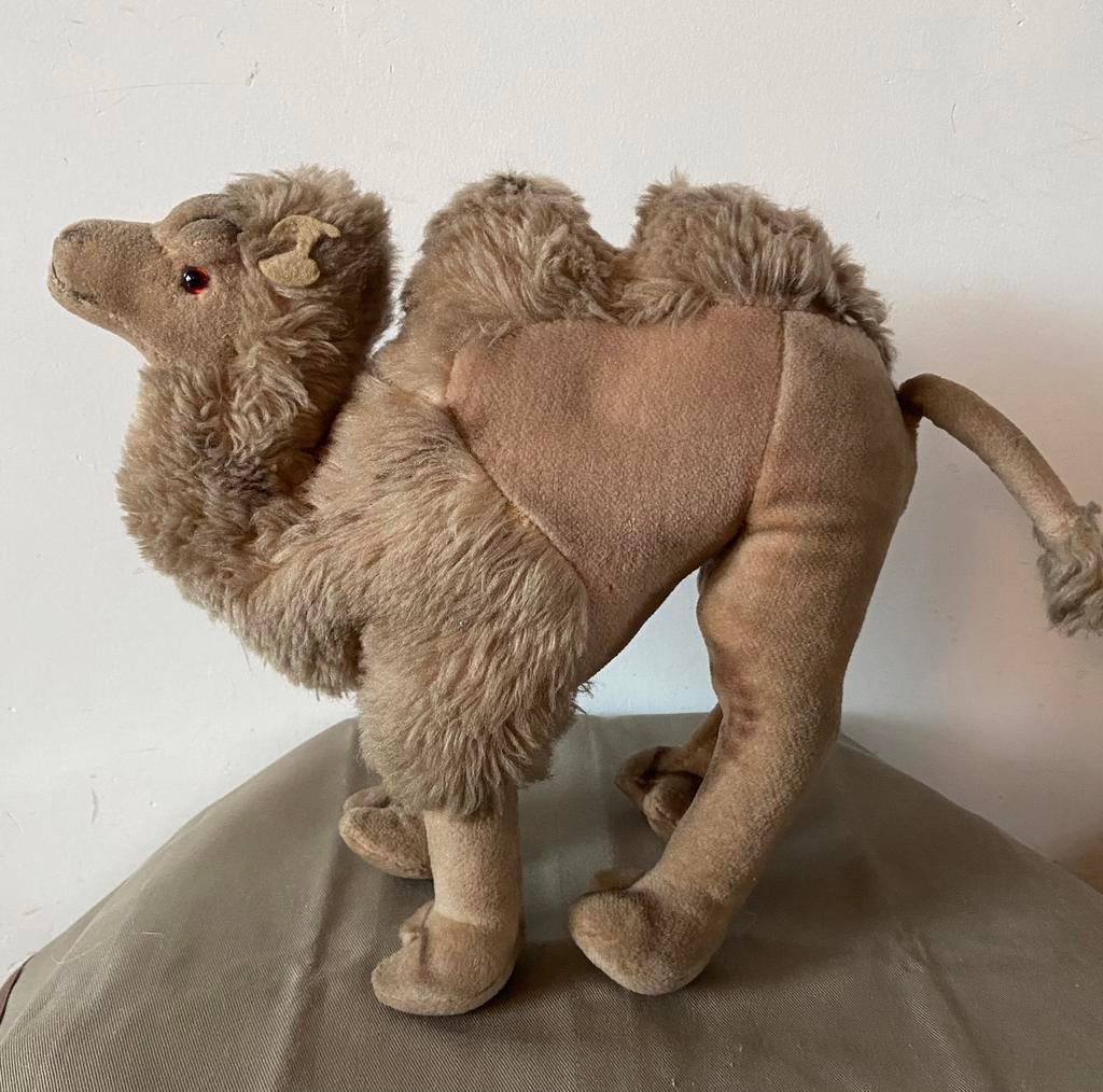 Steiff kameel Cosy Camel, 4890/28, 28cm, Ophalen of Verzenden, Zo goed als nieuw