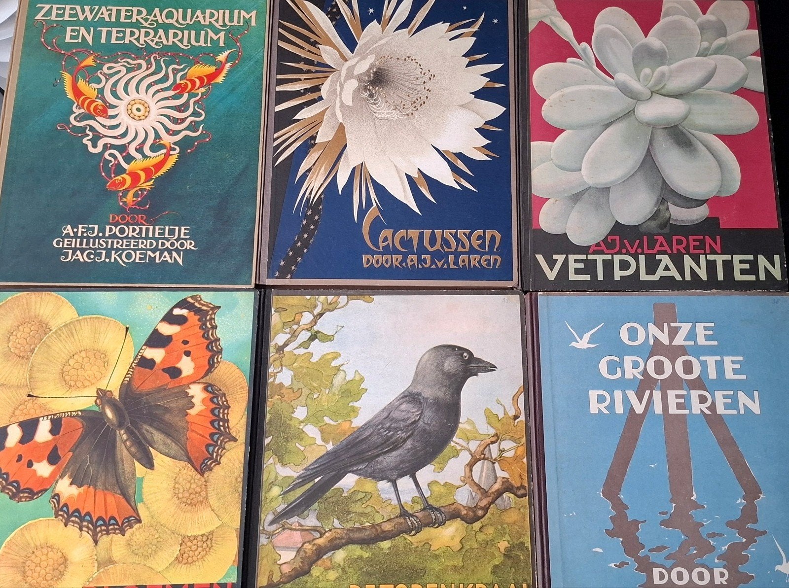 Verkade Albums: Cactussen, Vetplant,  Zee-Aquarium, Rivieren, Ophalen of Verzenden, Gelezen, Bloemen, Planten en Bomen, A.J. van Laren, A.F.J. Portielje, Jac. P. Thijsse
