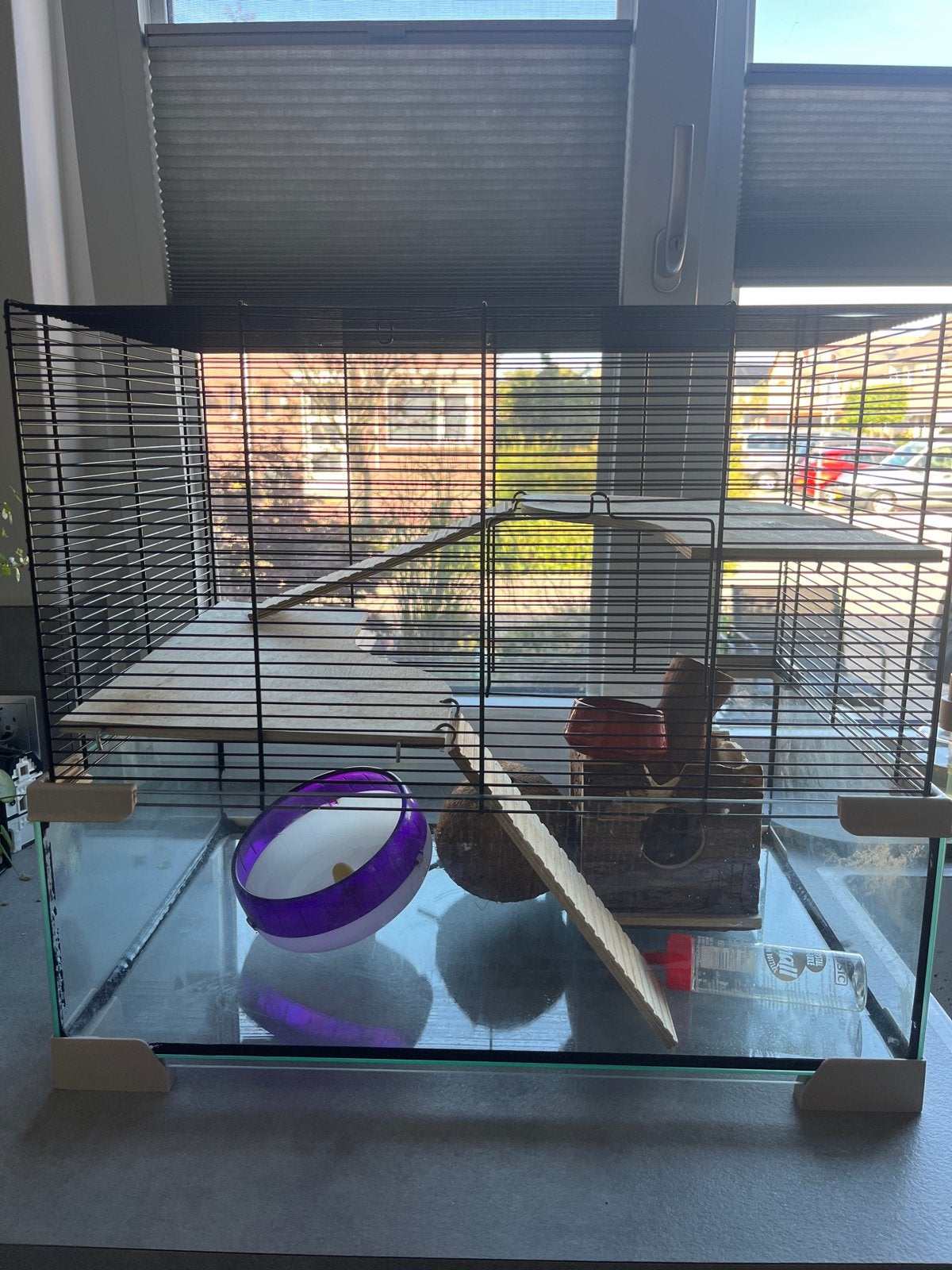 Glazen hamsterkooi, Kooi, Gebruikt, Minder dan 75 cm, Muis