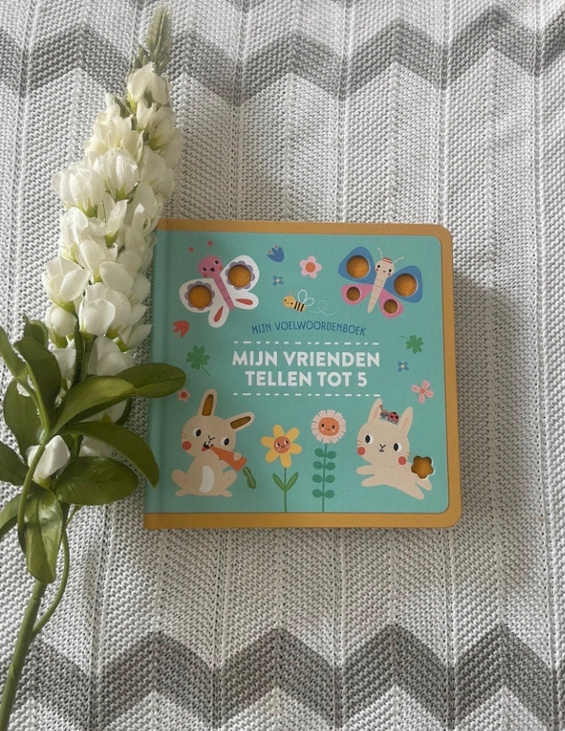 NIEUW, voel-woordenboekje, mijn vrienden tellen tot vijf!, Ophalen of Verzenden, Zo goed als nieuw, Uitklap-, Voel- of Ontdekboek
