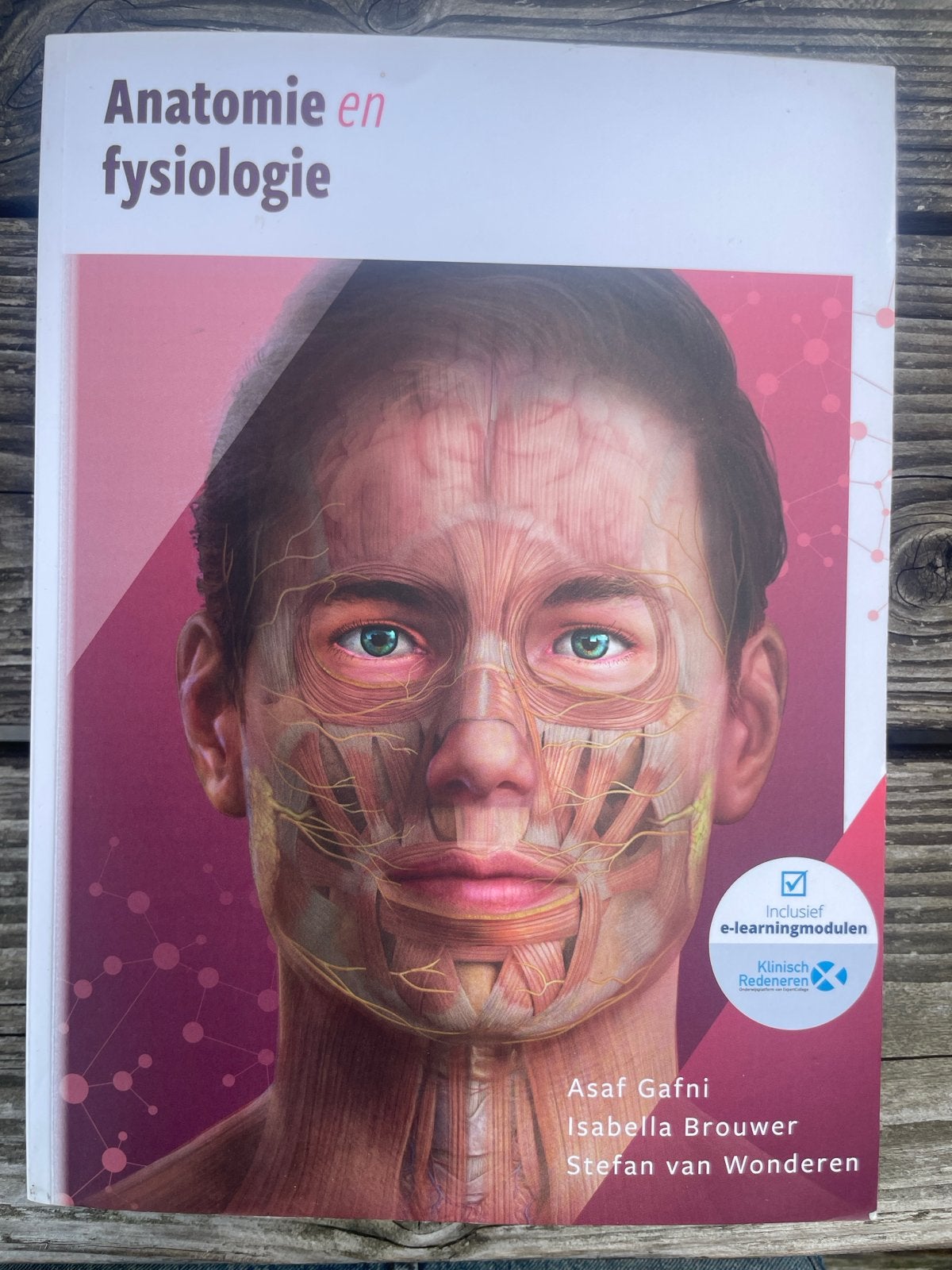 Anatomie en Fysiologie - Asaf Gafni e.a. (HBO), Ophalen of Verzenden, Beta, Zo goed als nieuw, HBO