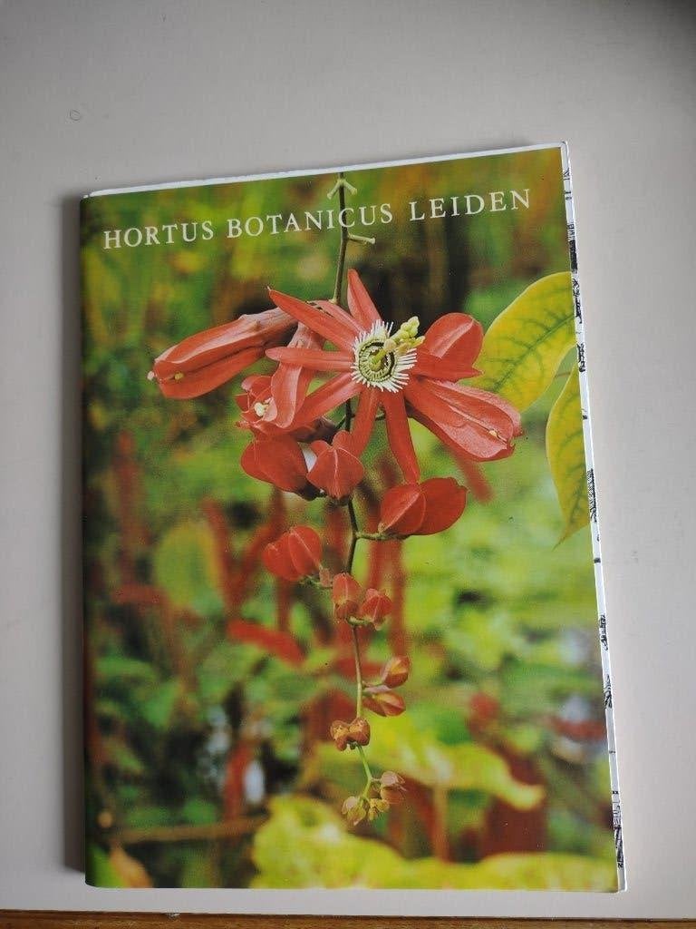 Hortus Botanicus Leiden gids 1983 boekje als nieuw€ 1,90, Boeken, Ophalen of Verzenden, Zo goed als nieuw, Bloemen, Planten en Bomen