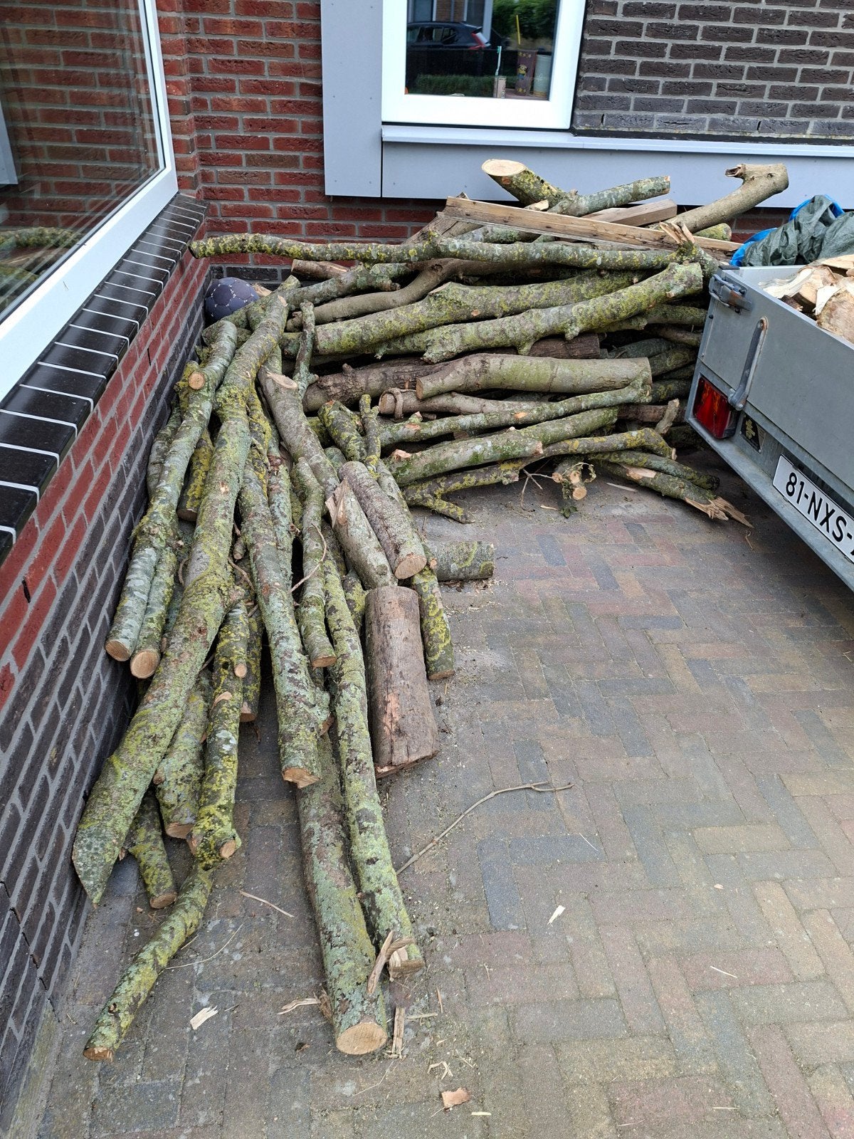 essen houten stammen, aanhanger vol, Minder dan 3 m³, Ophalen, Essenhout, Takken