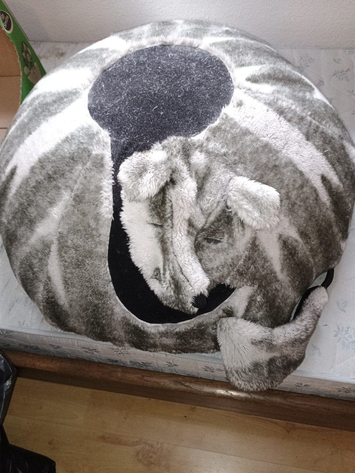 leuke opblaasbare poef (wolf), Ophalen, Minder dan 50 cm, Rond, Minder dan 50 cm