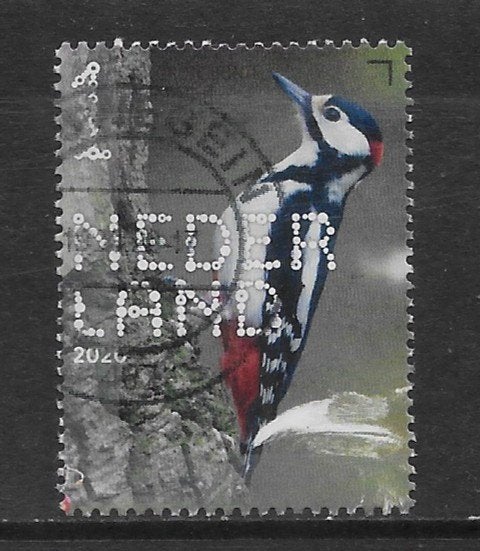 2020, Bos- en Heidevogels, Grote Bonte Specht [3868] (K0712), Ophalen of Verzenden
