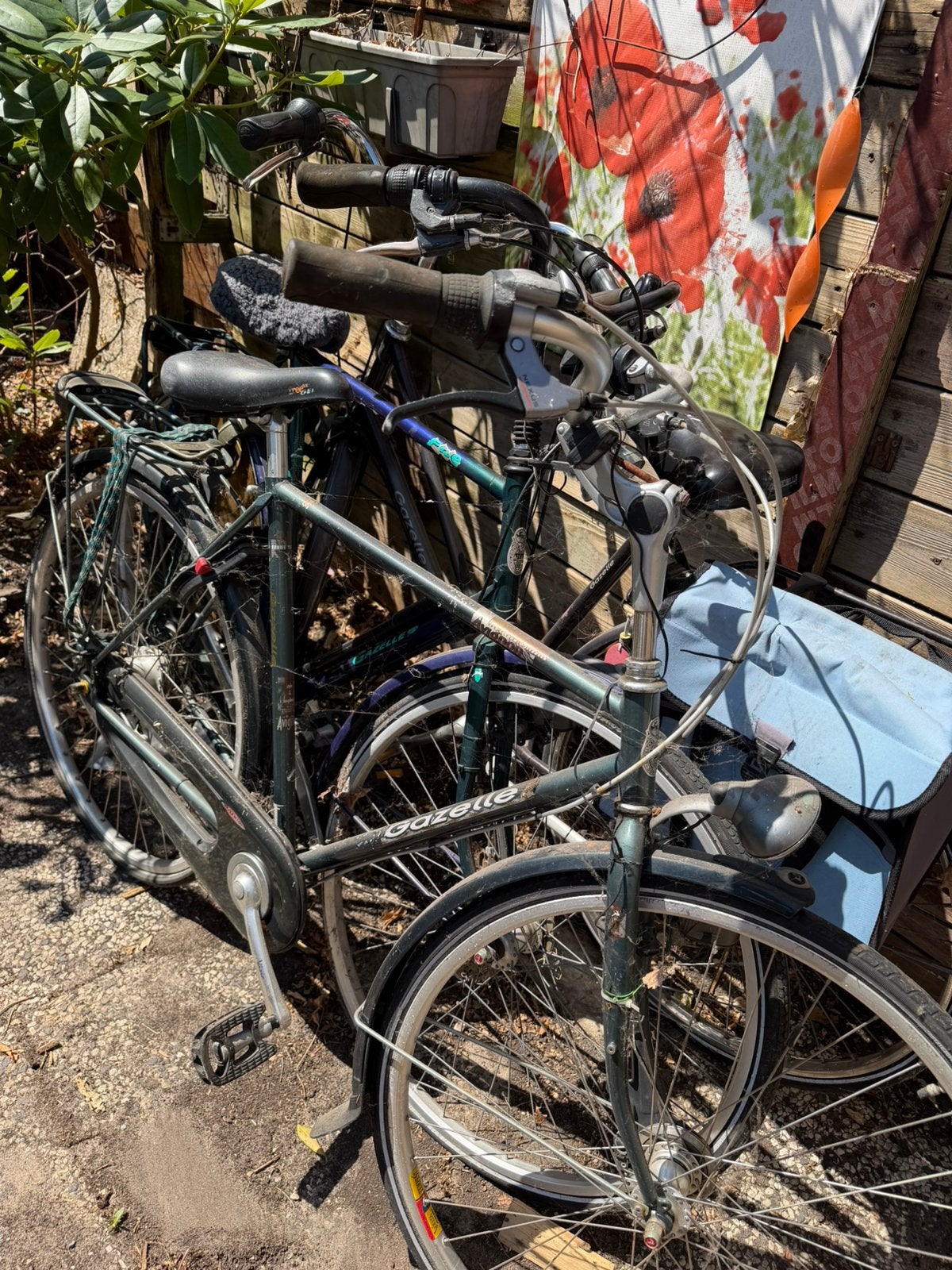 Gazelle fietsen voor hobbyist 3 x 2 dames 1 heren, Ophalen, Gebruikt